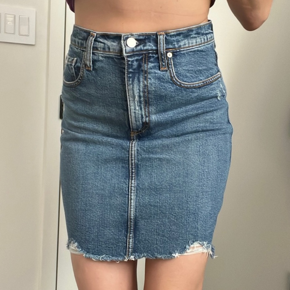 NWT Nobody Denim Skirt, Siren High Rise, Size 28